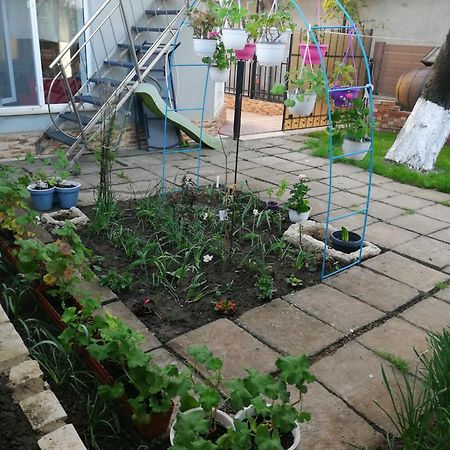 Casa Flor Leilighet Două Mai Eksteriør bilde